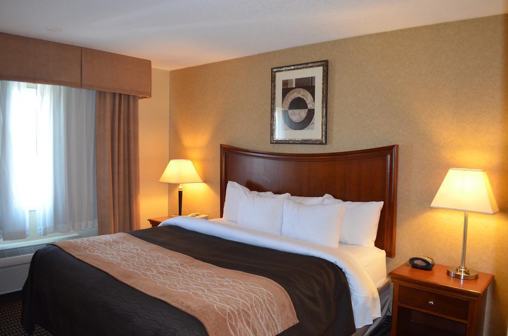 Comfort Inn & Suites Vancouver Downtown City Center Extérieur photo
