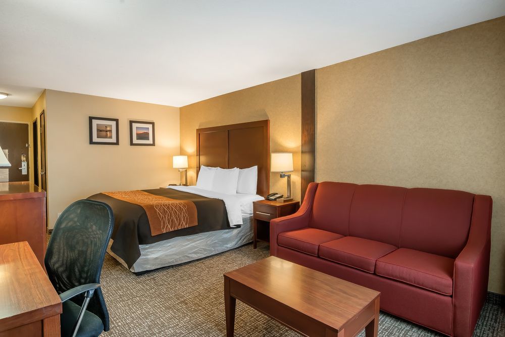Comfort Inn & Suites Vancouver Downtown City Center Extérieur photo